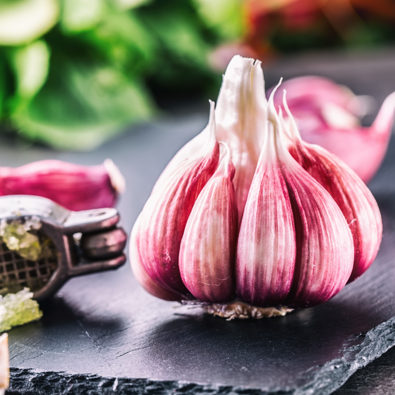 What is Candida and how is it treated on the Eczema Diet?