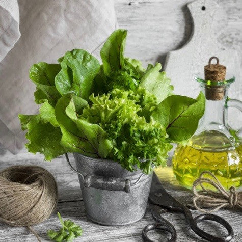 5 Surprising Ways Vitamin E Helps Eczema