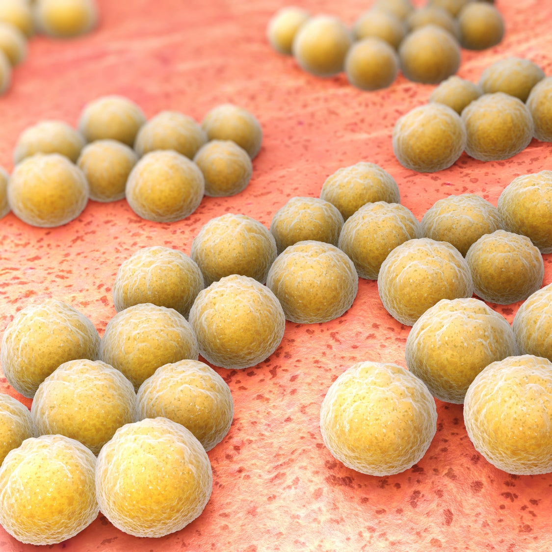 The Bug Behind the Itch of Eczema: The Root Cause Most Treatments Miss & How To Address It